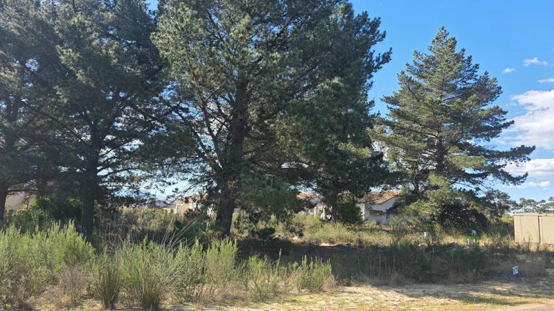 0 Bedroom Property for Sale in Albertinia Western Cape